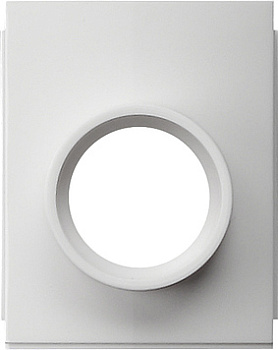 Gira Адаптер для кабельного ввода 1-местн. для трубы Ø 20 мм 0011053