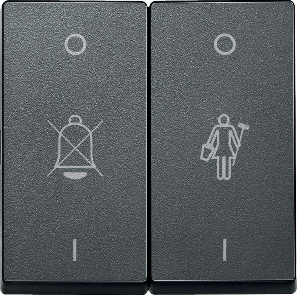 Купить SE Merten SM Антрацит Две клавиши с маркировкой «перечёркнутый звонок» и «горничная» (MTN435614)