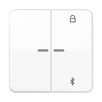 JUNG Таймер универсальный Bluetooth, белый CD1751BTWW