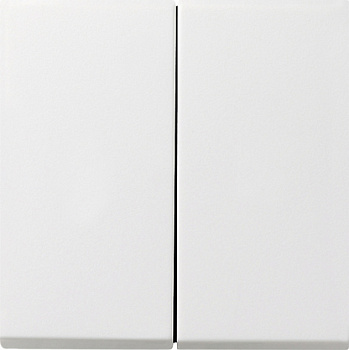 Gira F100 Бел глянц Выключатель 2-клавишный c 4 выходами 0128112