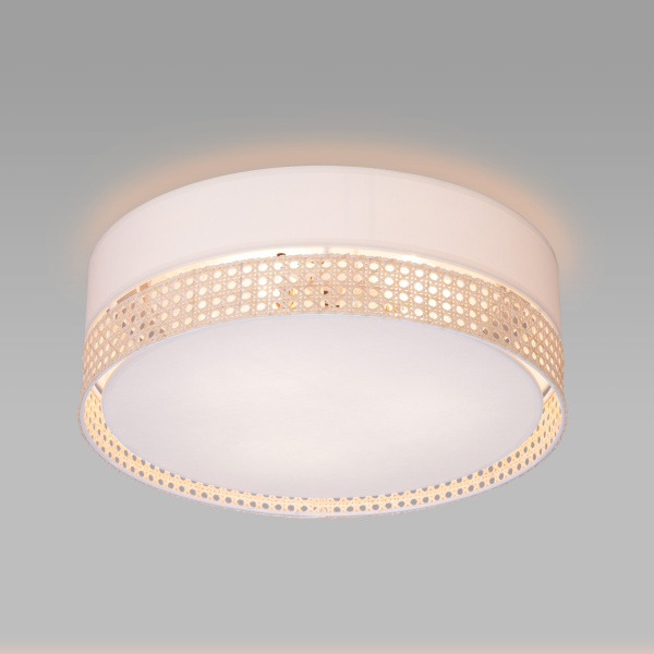 Купить Eurosvet 6690 Светильник потолочный Paglia a058074