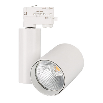 Arlight Светильник LGD-SHOP-4TR-R100-40W Cool SP7500-Fish (WH, 24 deg) (IP20 Металл, 3 года) 026387