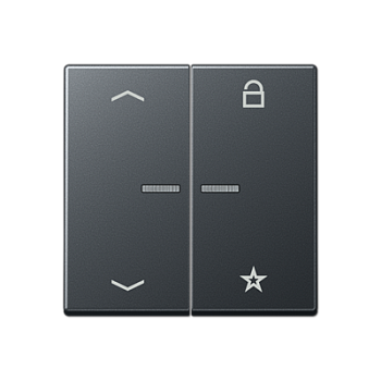 JUNG Центральная плата для вставок управления двигателями, матовый антрацит A1701BFPANM