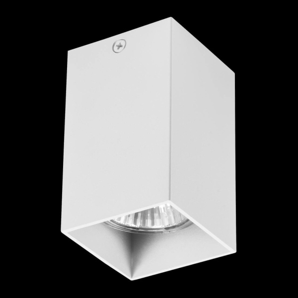 Купить Lightstar Светильник точечный накладной декоративный под заменяемые галогенные или LED лампы Rullo Lightstar 216336