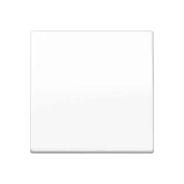 JUNG Клавиша для балансирного выключателя термопласт белая AS591BFSWW