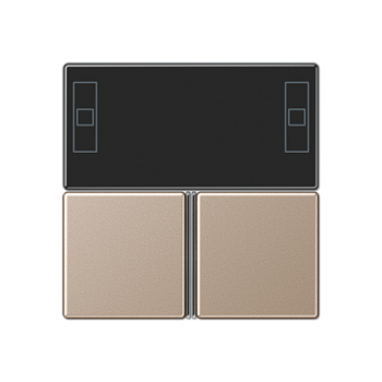 JUNG KNX Шампань Набор накладок для контроллера 2 кл серия А A4093TSACH