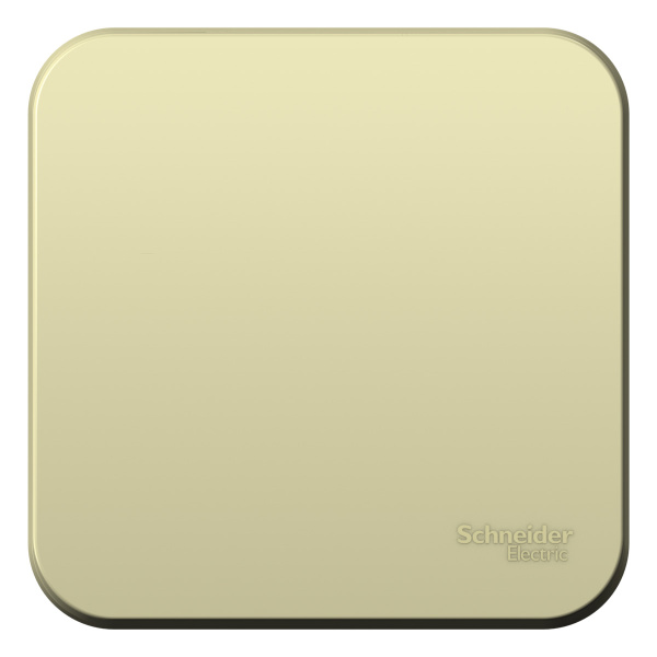 Купить Systeme Electric Blanca наруж Беж Выключатель 1-клавишный (cх.1) с самовозвратом, изолир. пластина 10А