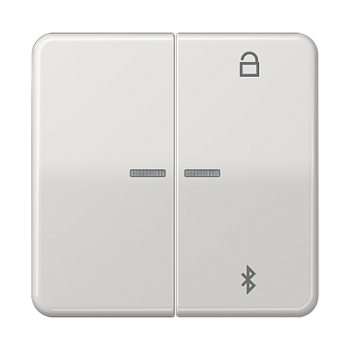 JUNG Таймер универсальный Bluetooth, светло-серый CD1751BTLG