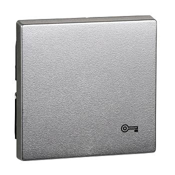 SE Merten SM Алюминий Клавиша с пиктограммой «ключ» (MTN3303-0460)