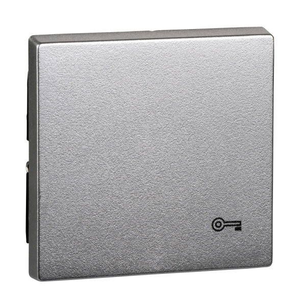 SE Merten SM Алюминий Клавиша с пиктограммой «ключ» (MTN3303-0460)