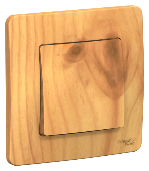 Купить Systeme Electric Blanca внутр Ясень Переключатель 1-клавишный, 10А, 250B