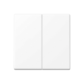 JUNG A Flow/A 550 Белый матовый Центральная плата 2 группы стандарт A1702BFWWM