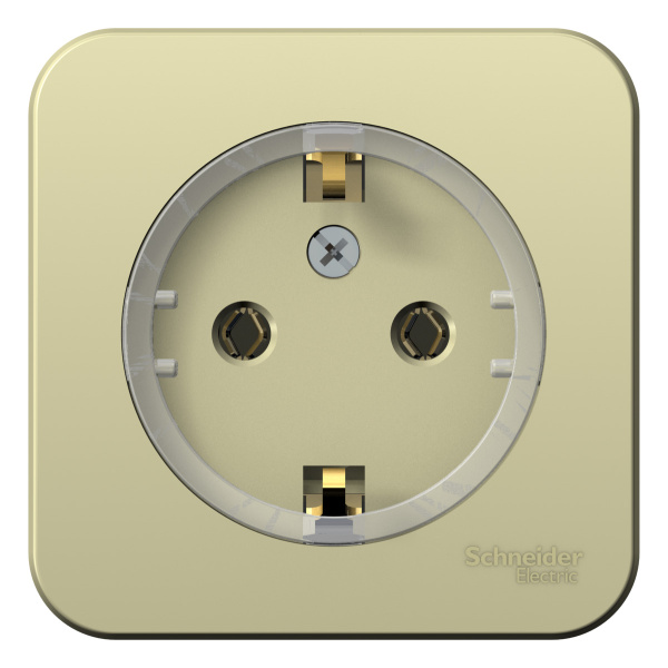 Купить Systeme Electric Blanca наруж Беж Розетка с/з без шторок, (Компакт) изолир. пластина 16А, 250В