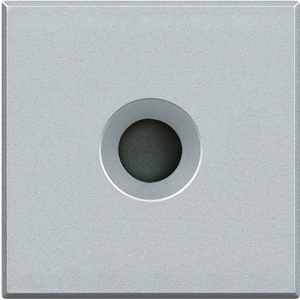 Купить BT Axolute Алюминий Заглушка с выходом 9 мм, 2 коннектора HC4954