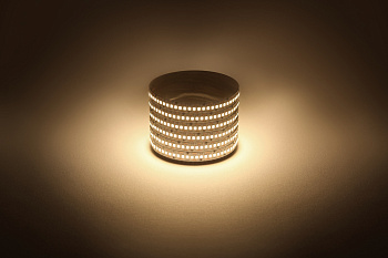 ЭРА Светодиодная лента LS2835 -19,2-240-12-3000K-IP20-1 year-5m теплый белый 5м