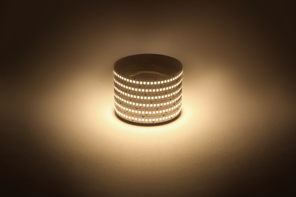 ЭРА Светодиодная лента LS2835 -19,2-240-12-3000K-IP20-1 year-5m теплый белый 5м