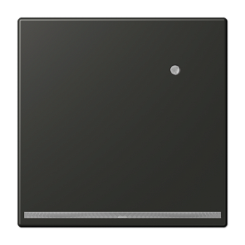 JUNG Механизм LED подсветки AL1539-OANLNW