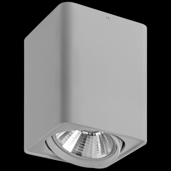 Купить Lightstar Светильник точечный накладной декоративный под заменяемые галогенные или LED лампы Monocco Lightstar 212639