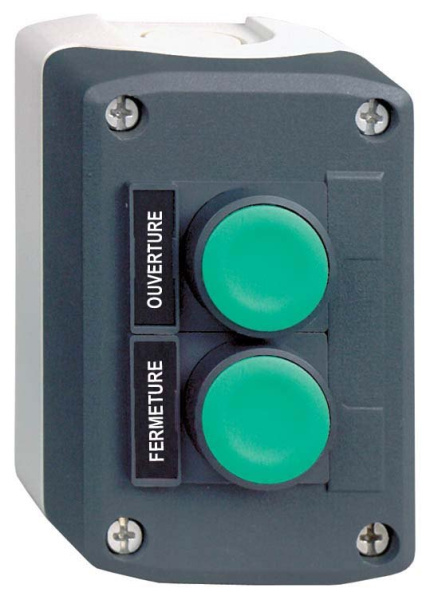 Купить SE Кнопочный пост 2 кнопки с возвратом XALD241