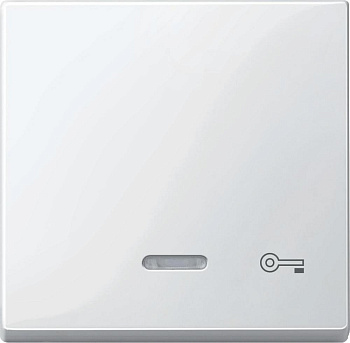 SE Merten SM Клавиша со световой индикацией, «дверь» (MTN435319)