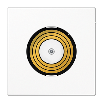 JUNG Белый Крышка для блока питания Plug&Light PLLSDMSWW JUNG Белый Крышка для блока питания Plug&Light PLLSDMSWW