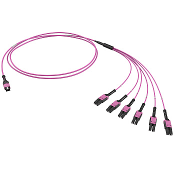 DKC Оптическая разветвительная сборка 12ОВ 50/125 OM4, 1xMTP PRO(12)/6хLC Duplex Uniboot, 2м (предустановленная конфигурация: MTP Male, тип полярности