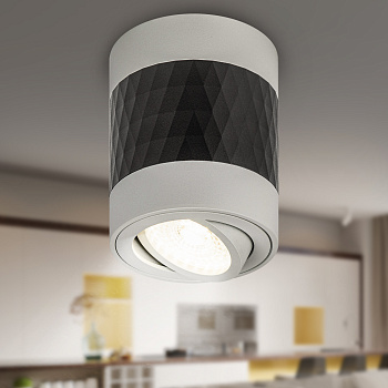 ЭРА Светильник настенно-потолочный спот ЭРА OL33 WH/BK MR16 GU10 IP20 черный, белый