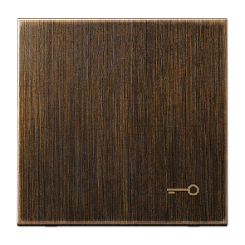 JUNG Античная латунь Клавиша ME2990TAT