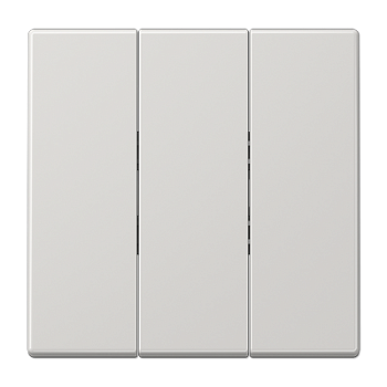 JUNG Светло-Серая Клавиша 3-ая для трёхклавишного переключателя арт. 5306EU LS993BFLG