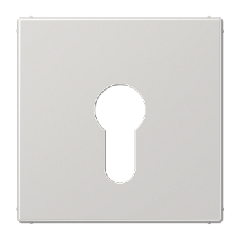 JUNG Крышка к выключателю для замочного механизма светло-серая LS925LG
