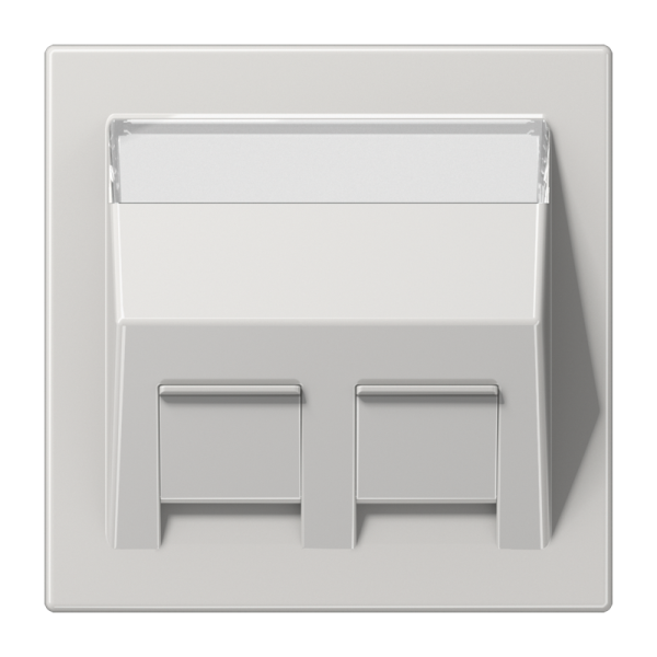 JUNG Накладка для модульных разъемов, светло-серый LS569-30BFPLLG