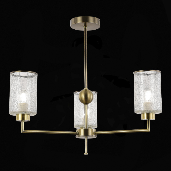 Evoluce SLE1046-302-03 Люстра потолочная Бронза/Прозрачный E27 3*60W