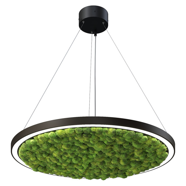 Svetholl Стэрия мосс (Тонкий профиль) D794 Мощность: 31W ISSTM2-035040-079430031