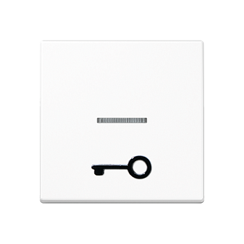 JUNG A 500 Белая Клавиша 1-ая с символом ДВЕРЬ и линзой A590T1KOWW