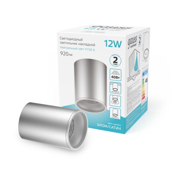 Купить Gauss Светильник Overhead накл цил 12W 920lm 4100K 170-240V IP20 79*100мм хром сатин LED HD004