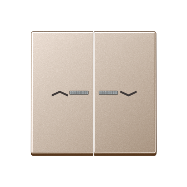 JUNG Клавиша для выключателя с подсветкой, шампань A595KO5PCH