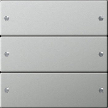 Gira Комплект клавиш, 2 шт. System 55 сталь 2133601