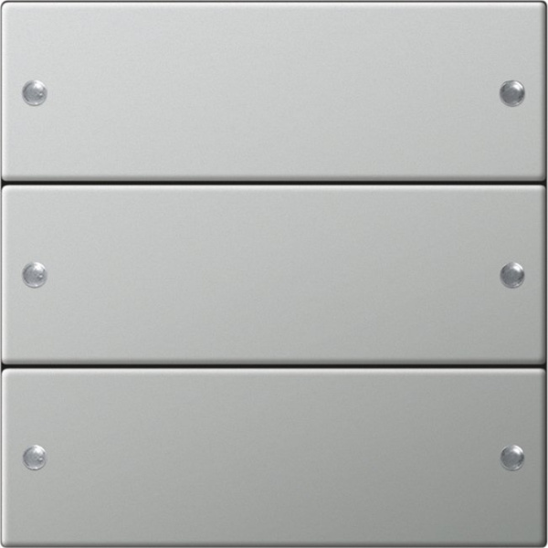 Gira Комплект клавиш, 2 шт. System 55 сталь 2133601