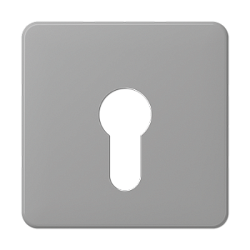 JUNG центральная плата для вставки с ключом, серый CD525GR