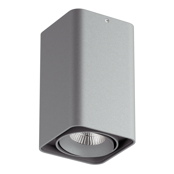 Lightstar Светильник точечный накладной декоративный под заменяемые галогенные или LED лампы Monocco Lightstar 212539 Купить Lightstar Светильник точечный накладной декоративный под заменяемые галогенные или LED лампы Monocco Lightstar 212539