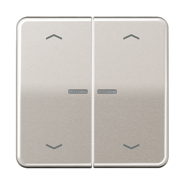 JUNG Клавиши для сдвоенной кнопки BCU платина CD595KO5MPPT