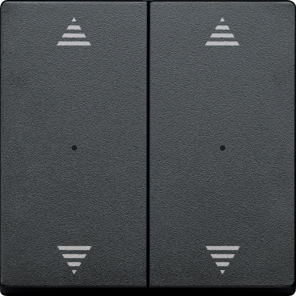 SE Merten KNX\EIB SM Антрацит Клавиша для модуля 2-кнопочного выключателя, с символами ВВ/ВН, 1/0 MTN625814