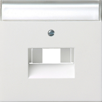 Gira Накладка 50*50 мм для розеток UAE/IAE с полем для надписи 0284112