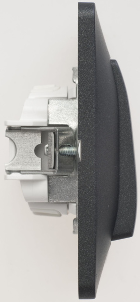 Купить Systeme Electric Glossa Антрацит Выключатель 2-клавишный, сх.5, 10АХ (в сборе)