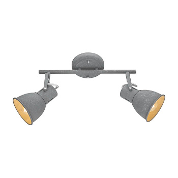 Arte Lamp JOVI Потолочные светильники A1677PL-2GY