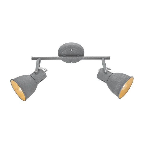 Arte Lamp JOVI Потолочные светильники A1677PL-2GY