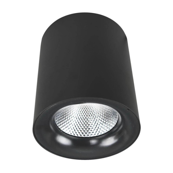 Arte Lamp FACILE Потолочные светильники A5112PL-1BK