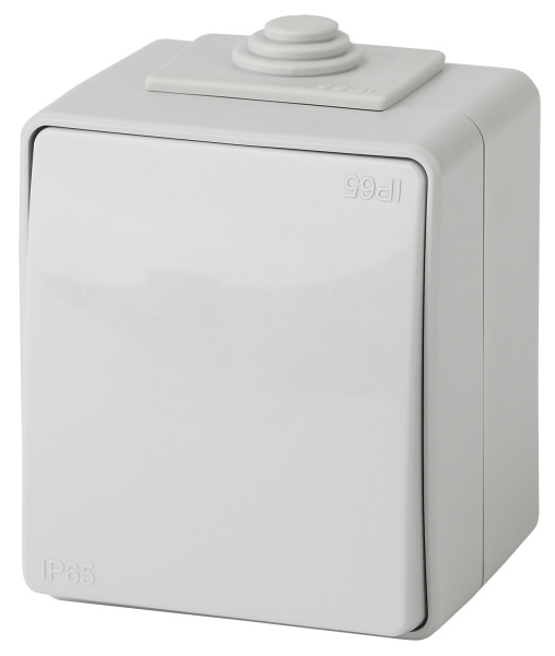 ЭРА 11-1603-03 Эксперт Серый Переключатель 1-кл ОУ IP65
