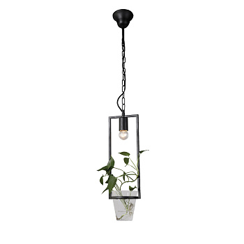 Favourite Situla Люстра подвесная черный металл, прозрачное стекло 1*E27*60W 1976-1P