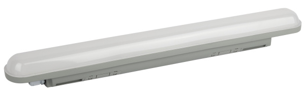 Линейный светодиодный светильник ЭРА SPP-201-0-40K-018 18Вт 4000К 1710Лм IP65 600 матовый